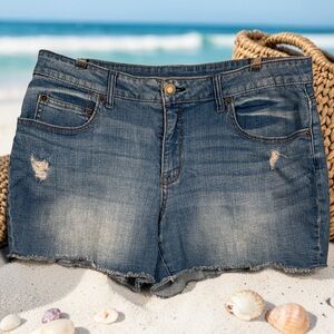 Time and Tru denim shorts